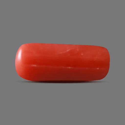Red Coral - 5.59 carats