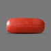 Red Coral - 5.59 carats