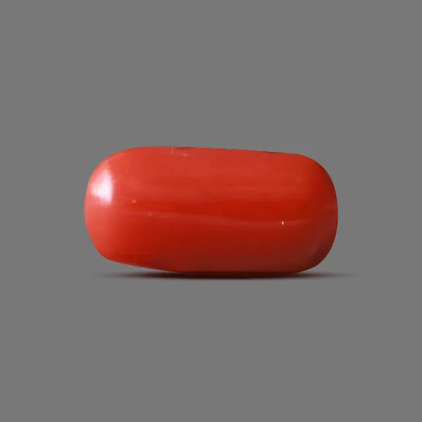 Red Coral - 5.64 carats
