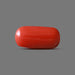 Red Coral - 5.64 carats