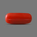 Red Coral - 5.68 carats