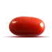 Red Coral - 5.69 carats