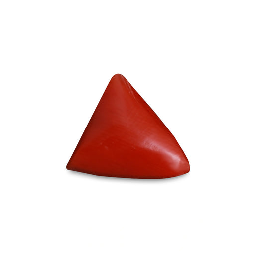Red Coral - 5.69 carats