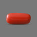 Red Coral - 5.77 carats