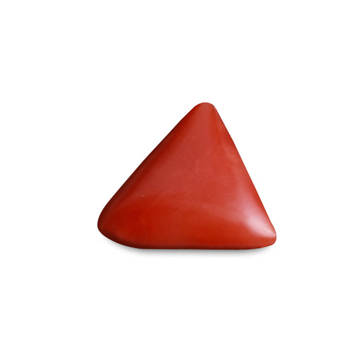 Red Coral - 6.15 carats