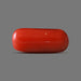 Red Coral - 6.19 carats