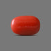 Red Coral - 6.21 carats
