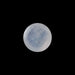 Rainbow Moonstone - 0.93 Carats