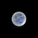 Rainbow Moonstone - 1.60 Carats