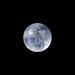 Rainbow Moonstone - 1.60 Carats