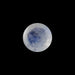 Rainbow Moonstone - 1.84 Carats