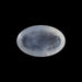 Rainbow Moonstone - 10.34 Carats