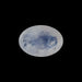 Rainbow Moonstone - 10.72 Carats