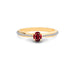Ruby Panchdhatu Ring R25