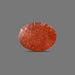 Sunstone - 1.63 Carats