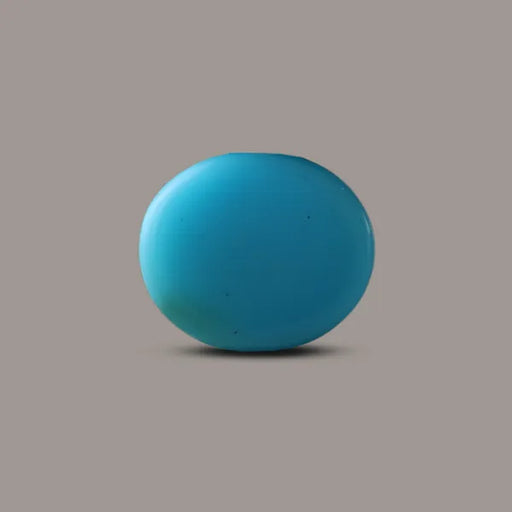 T_4.83_Carats_B241225