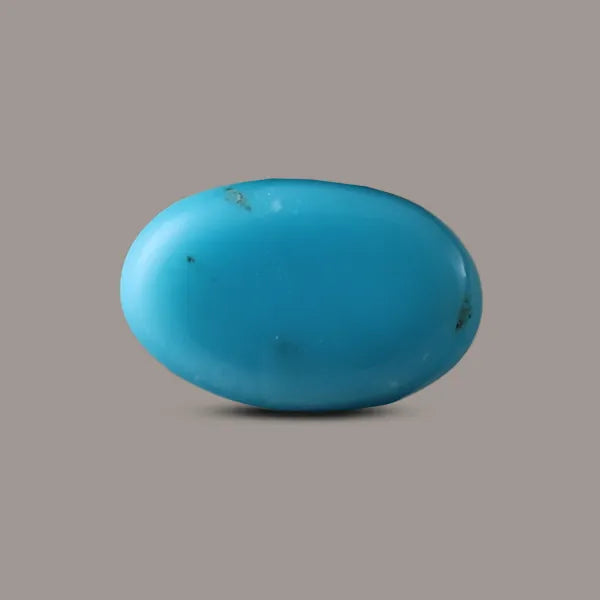 T_8.45_Carats_B241225