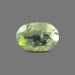 Green Tourmaline - 0.91 Carats