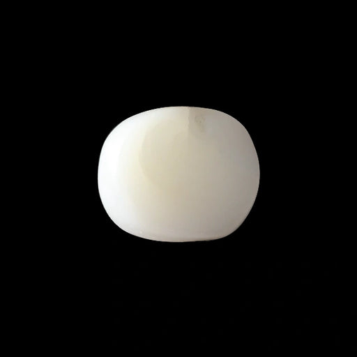 White Coral - 2.66 carats