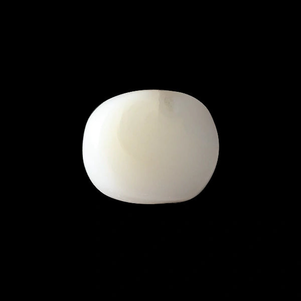White Coral - 2.66 carats