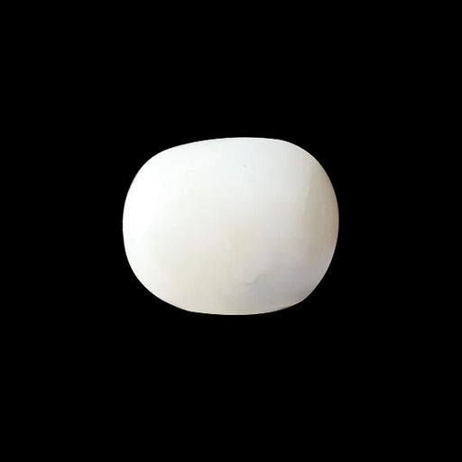 White Coral - 2.66 carats