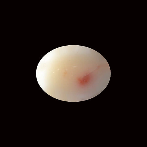 White Coral - 10.76 carats
