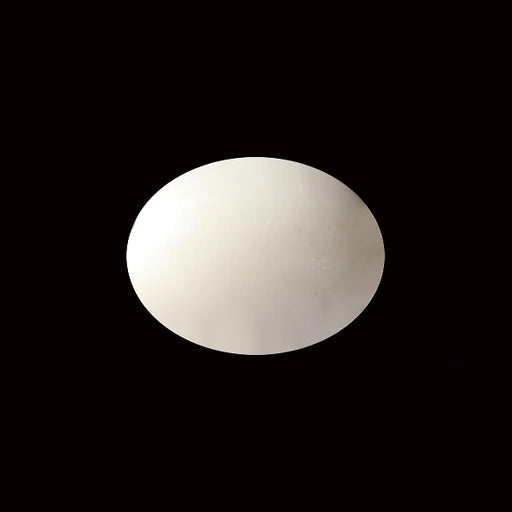 White Coral - 10.76 carats