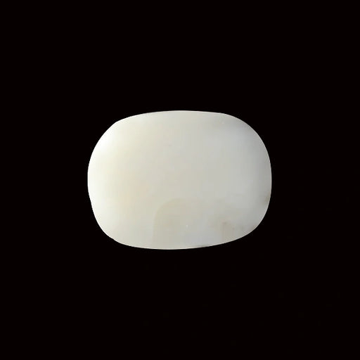 White Coral - 13.98 carats