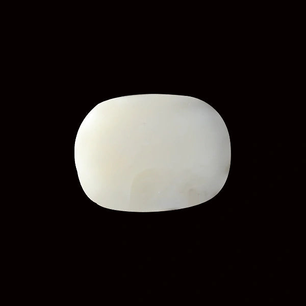 White Coral - 13.98 carats