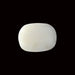 White Coral - 13.98 carats