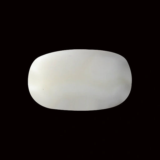 White Coral - 3.79 carats