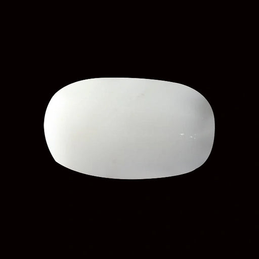 White Coral - 3.79 carats