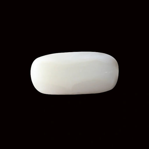 White Coral - 3.83 carats