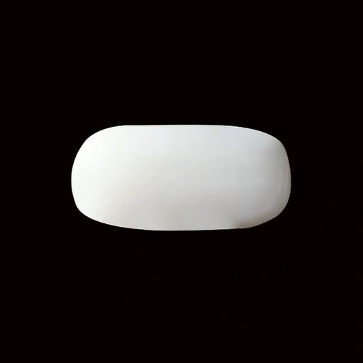 White Coral - 3.83 carats