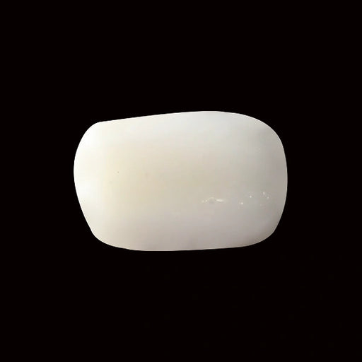 White Coral - 4.10 carats