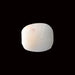 White Coral - 4.13 carats