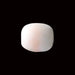White Coral - 4.13 carats