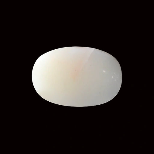 White Coral - 4.84 carats
