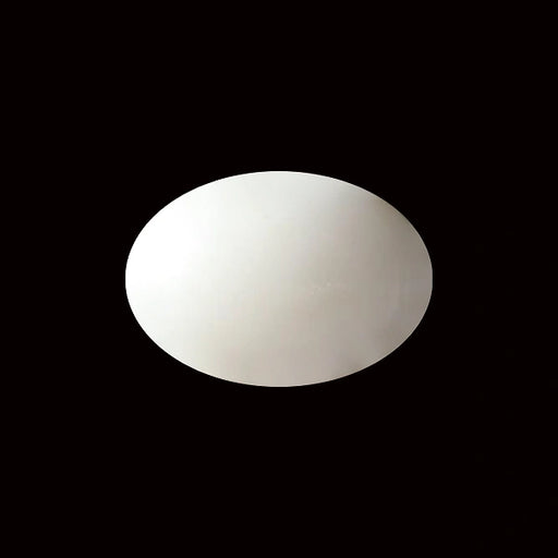 White Coral - 4.84 carats