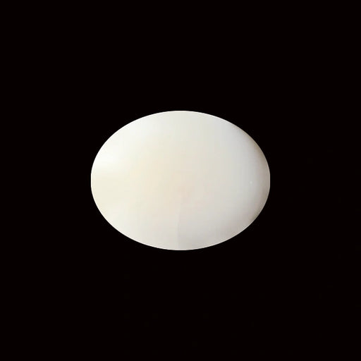 White Coral - 5.30 carats