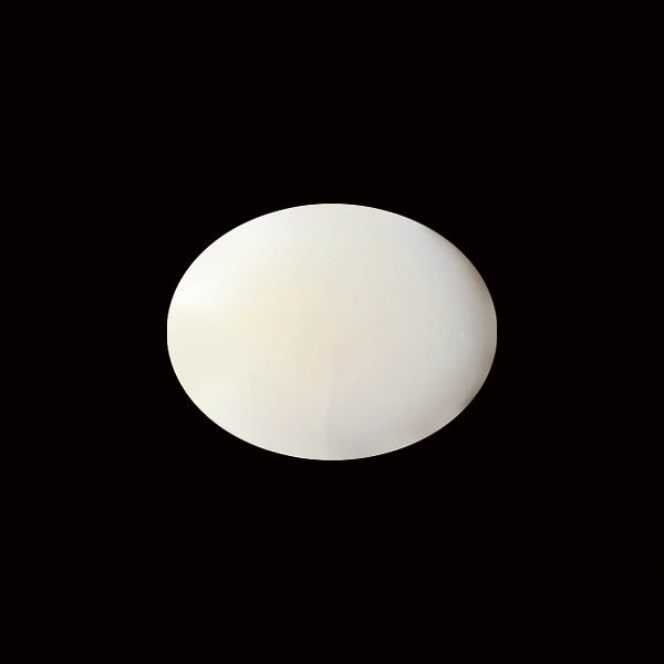 White Coral - 5.30 carats