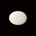 White Coral - 5.30 carats