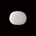 White Coral - 5.41 carats