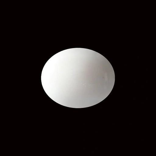 White Coral - 5.41 carats