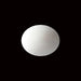 White Coral - 5.41 carats