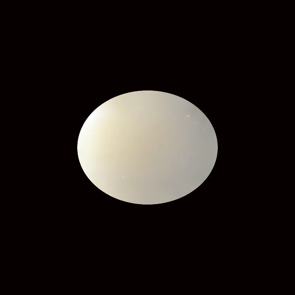 White Coral - 5.50 carats