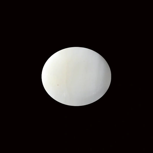 White Coral - 5.52 carats
