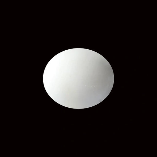 White Coral - 5.52 carats