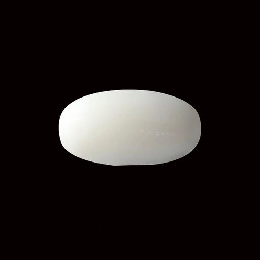 White Coral - 5.52 carats