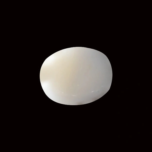White Coral - 5.53 carats